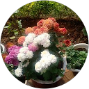 ANIZA O. profile picture